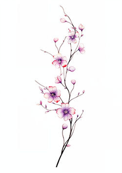 Tattoo template of a delicate cherry blossom branch in watercolor style