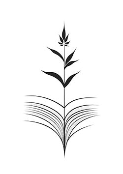 Tattoo template of a plant and open book design