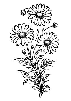 Tattoo template of a daisy cluster with detailed petals and leaves