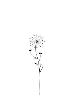 Tattoo template of a dandelion with dispersing seeds