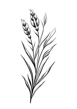 Tattoo template of a delicate wildflower sketch in black and white.