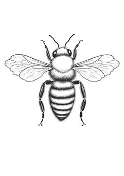 Tattoo template of a detailed bumblebee with delicate wings