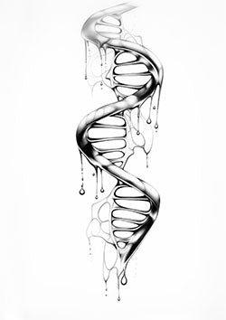 Tattoo template of a melting DNA helix symbolizing the fragility and essence of life