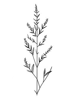 Tattoo template of a delicate sprig with slender leaves and tiny blossoms