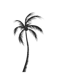 Tattoo template of a windswept palm tree silhouette