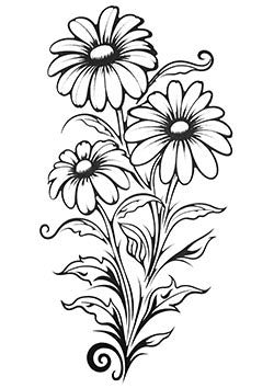 Tattoo template of three flourishing daisies with detailed leaves