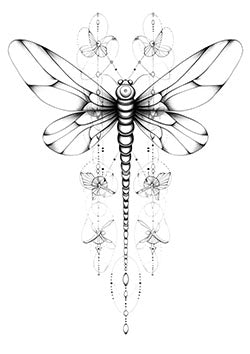 Tattoo template of a detailed, symmetrical dragonfly with decorative elements