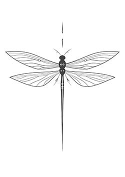 Tattoo template of a dragonfly featuring detailed wings and a symmetrical design