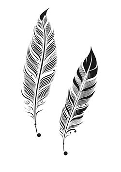 Tattoo template of two detailed feathers