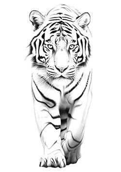 Tattoo template of a prowling tiger with intense gaze and powerful presence