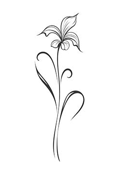 Tattoo template of a delicately drawn lily with flowing, elegant lines.