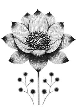 Tattoo template of a dotwork lotus flower with decorative orbs