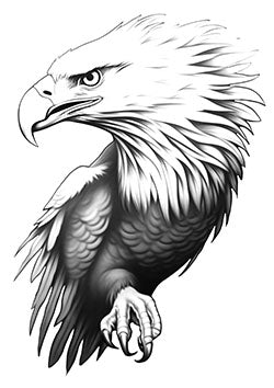 Tattoo template of a fierce eagle with majestic plumage and sharp talons