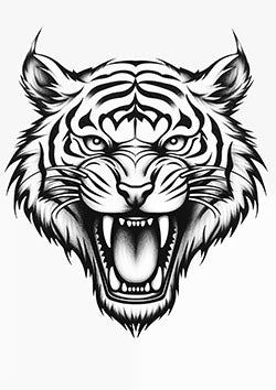 Tattoo template of a roaring tiger with detailed fur and intense expression