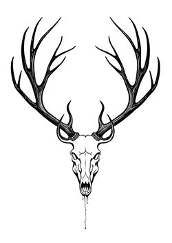 Tattoo template of a deer skull with antlers