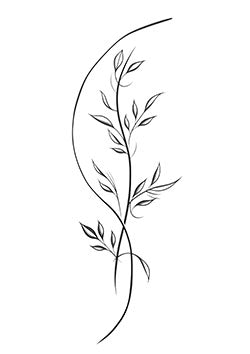 Tattoo template of a curving botanical vine design.