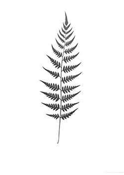 Tattoo template of a serene fern leaf design