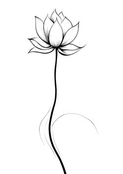 Tattoo template of a stylized lotus flower with flowing lines