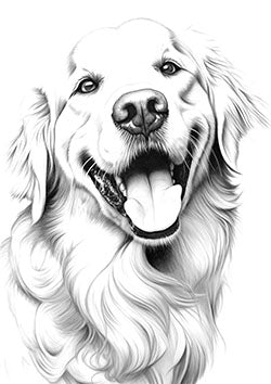 Tattoo template of a happy golden retriever portrait with detailed fur