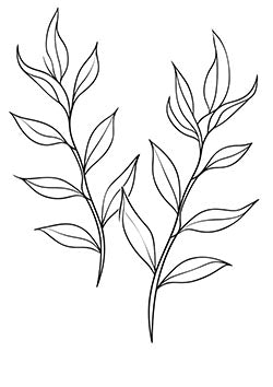 Tattoo template of symmetrical leaf design