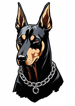 Tattoo template of a Doberman Pinscher with a chain collar conveying loyalty and strength