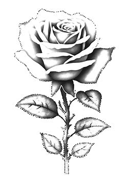 Tattoo template of a detailed shaded rose with leaves