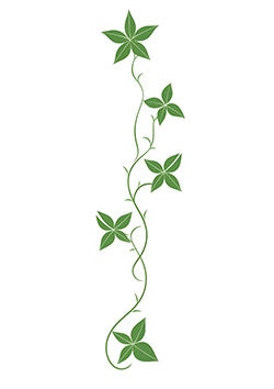 Tattoo template of a vertical vine with lush green leaves representing growth and nature