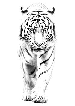 Tattoo template of a majestic tiger walking with a powerful and graceful stride