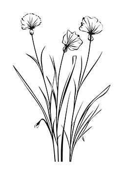 Tattoo template of a trio of wildflowers with delicate petals and slender stems