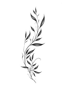 Tattoo template of a curving botanical vine with leaves