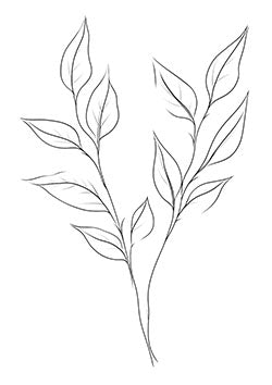 Tattoo template of a minimalist branch with delicate leaves